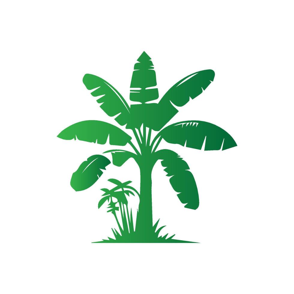 Banana Tree Silhouette Icon. Illustration of Banana Tree. Banana tree with fruit symbol. Banana tree sign. vector