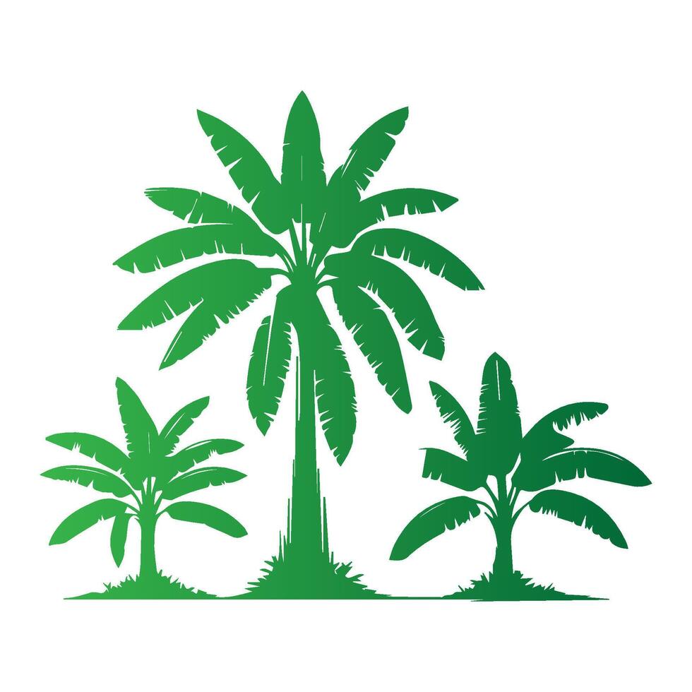 Banana Tree Silhouette Icon. Illustration of Banana Tree. Banana tree with fruit symbol. Banana tree sign. vector