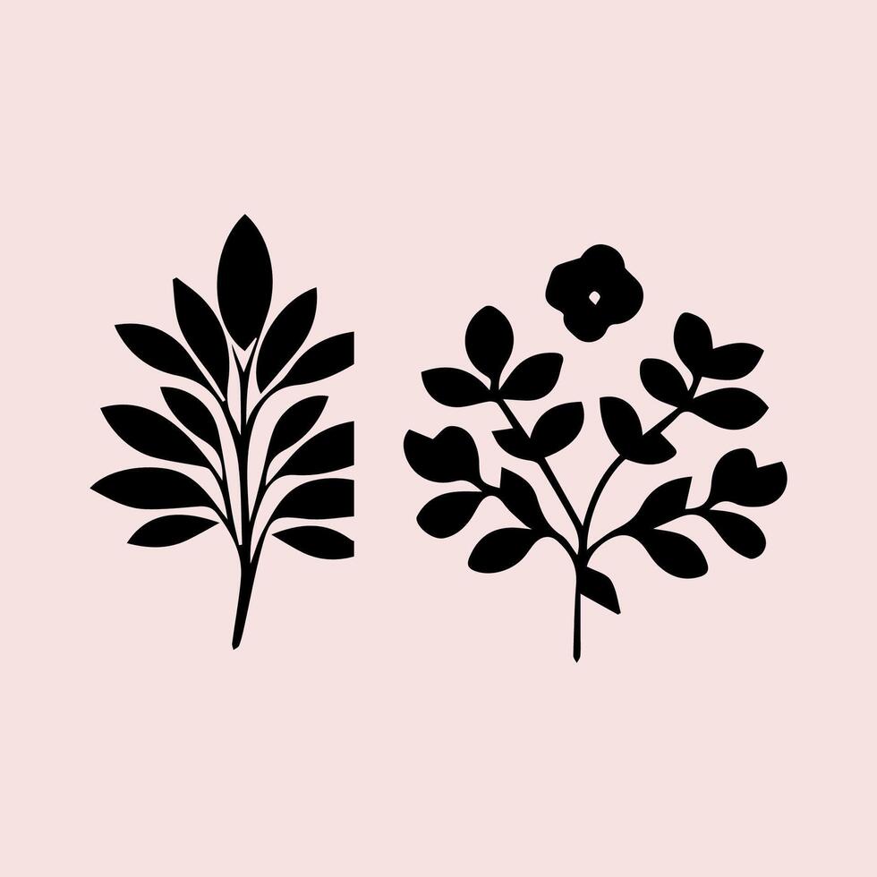 sketches of blooming floral plants. Hand drawn vintage peony flowers and leaves in line art style. vector