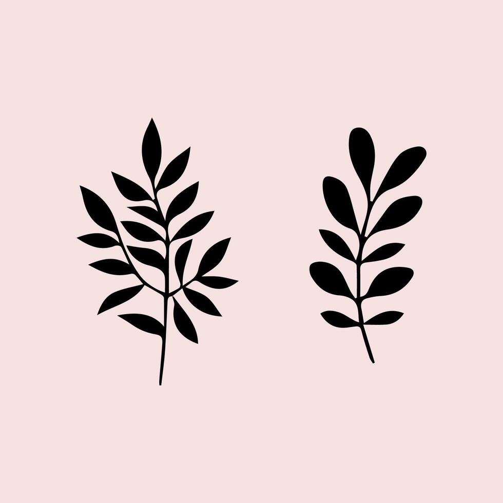 sketches of blooming floral plants. Hand drawn vintage peony flowers and leaves in line art style. vector