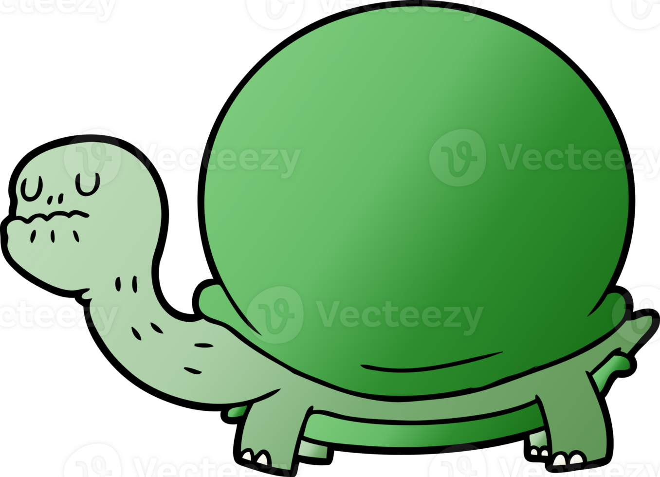 cartoon tortoise drawing png