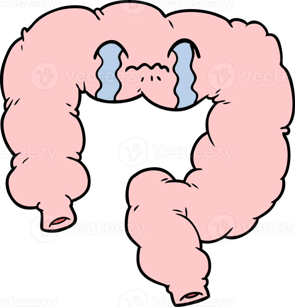cartoon colon drawing png
