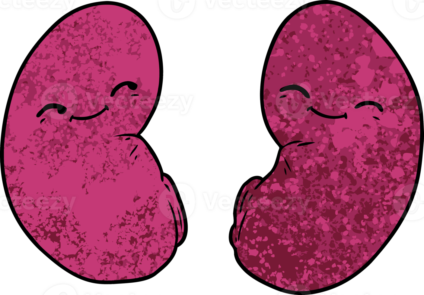 cartoon kidneys drawing png