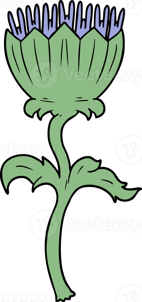 cartoon thistle drawing png