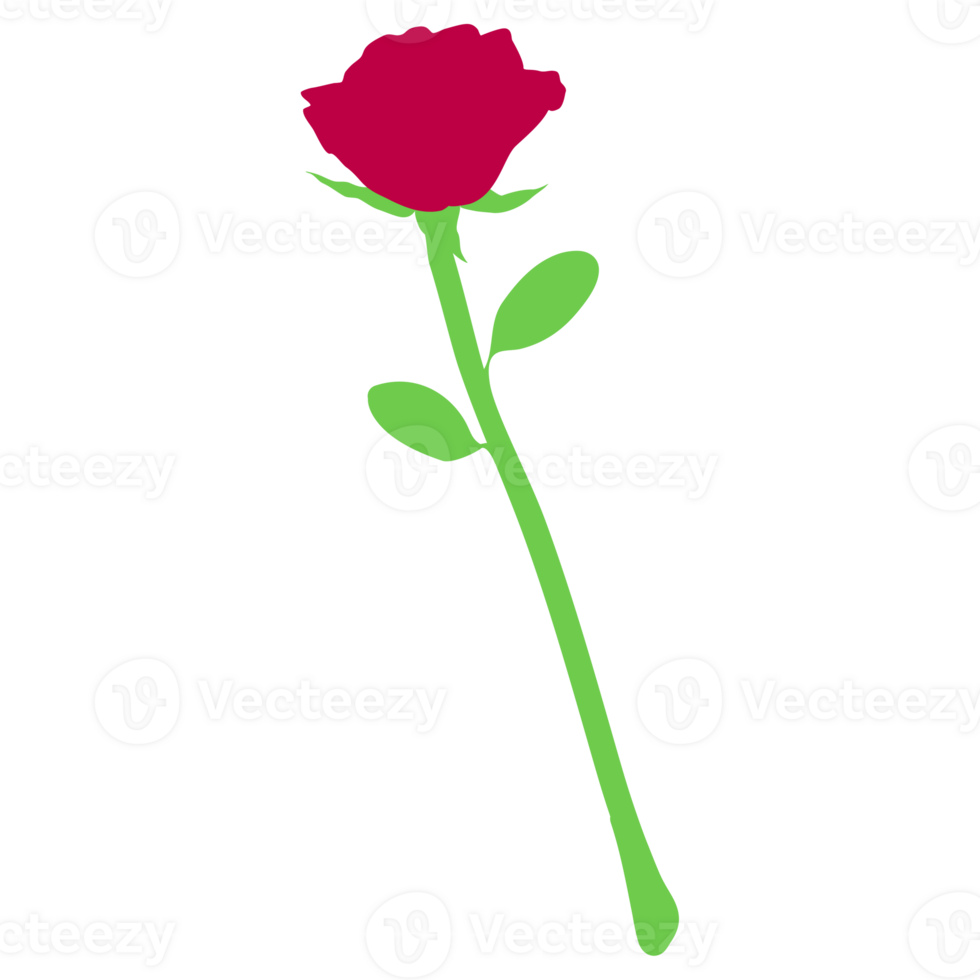 single rose drawing png