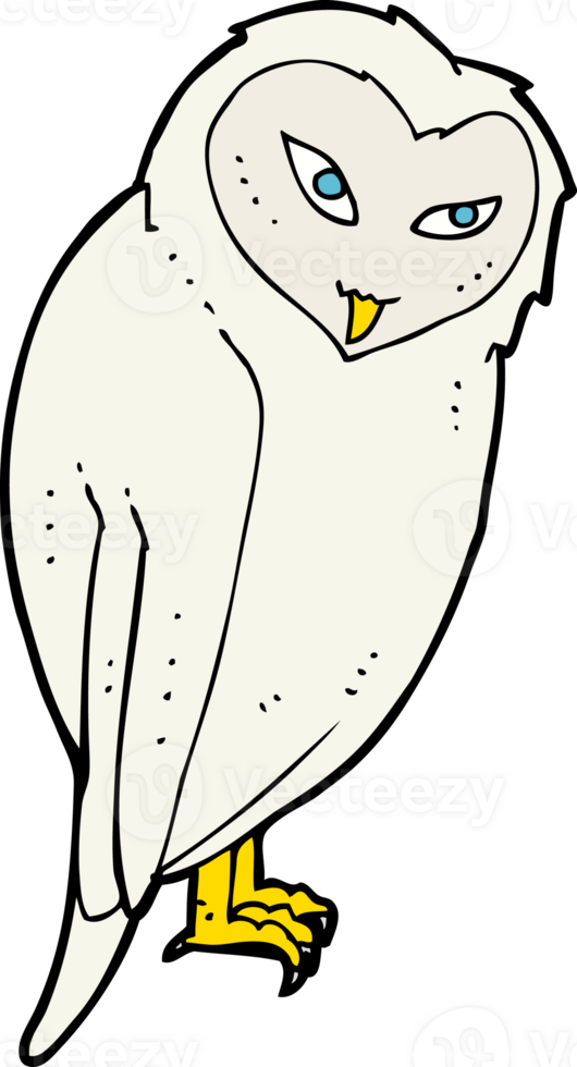 cartoon owl drawing png