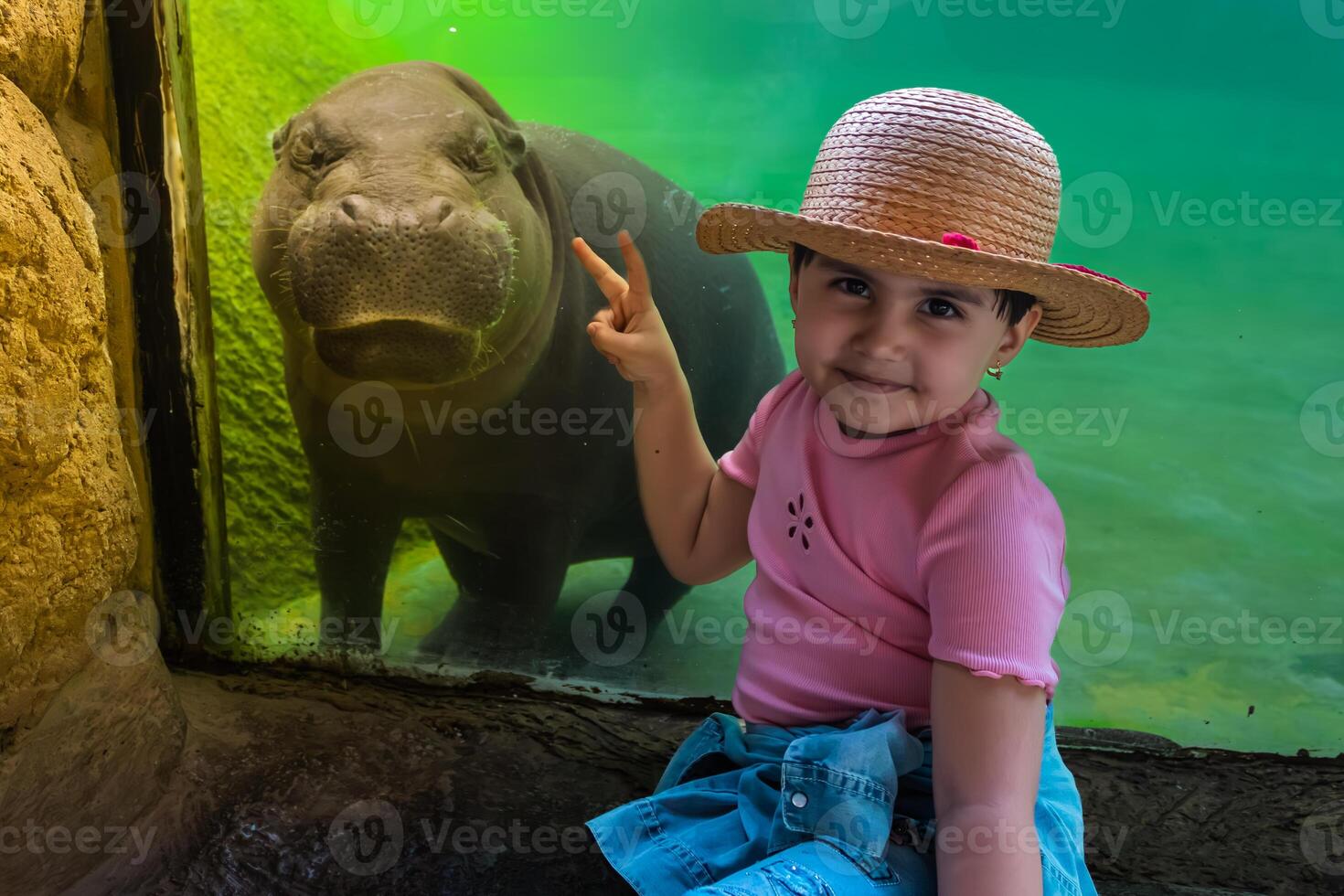 a young girl stands by the glass wall of the hippo pool looking at the large animal. High quality photo