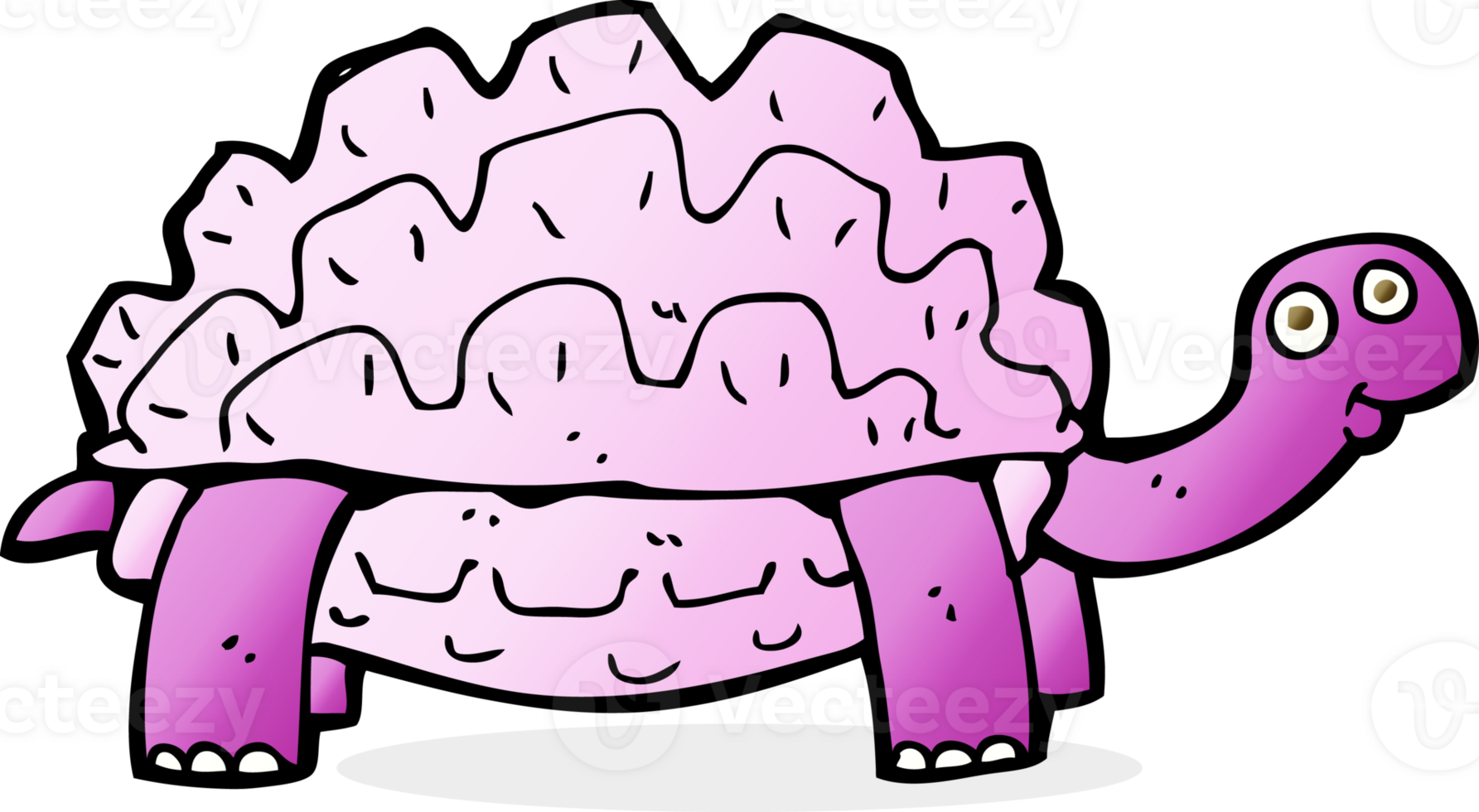 cartoon tortoise drawing png