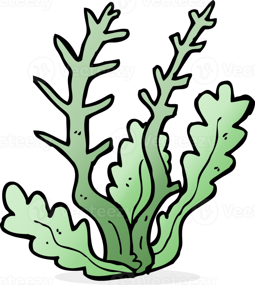 cartoon seaweed drawing png