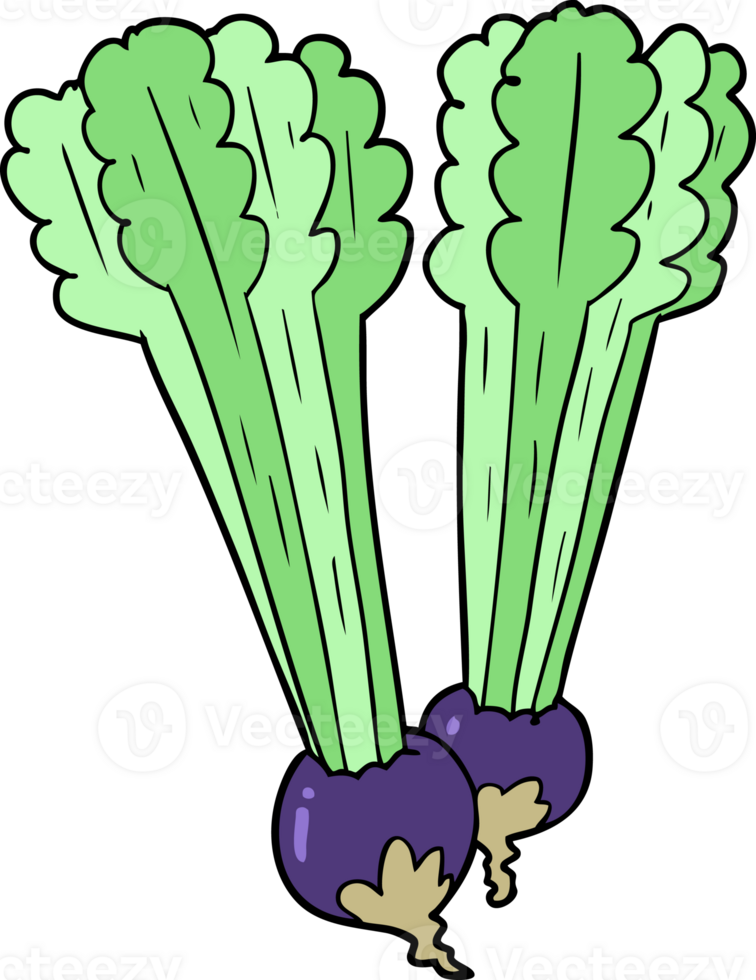 cartoon beetroots drawing png