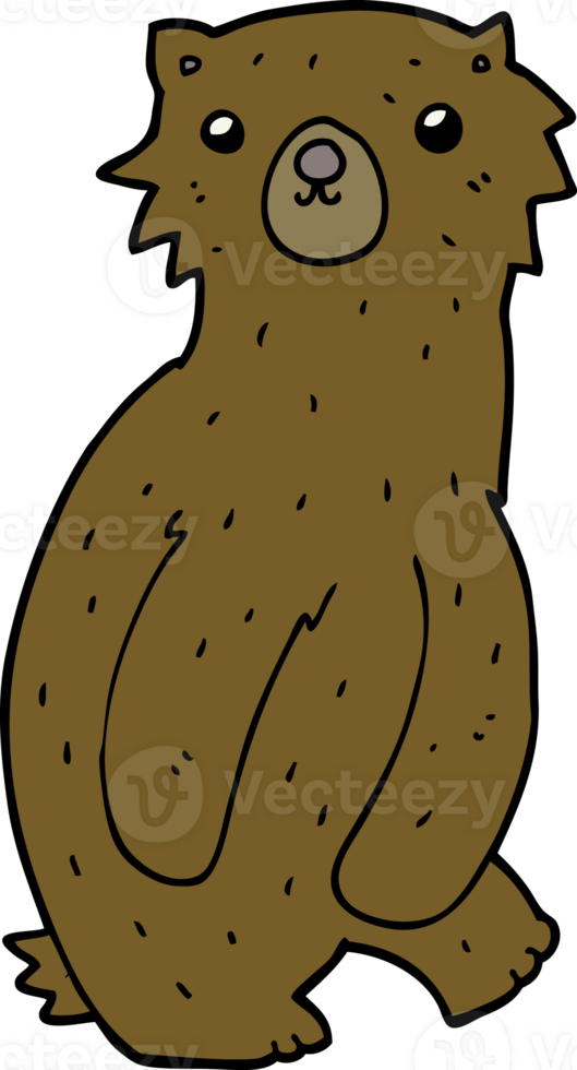 cartoon bear drawing png