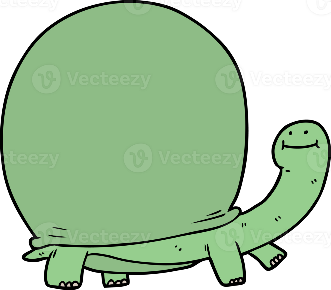 cartoon tortoise drawing png