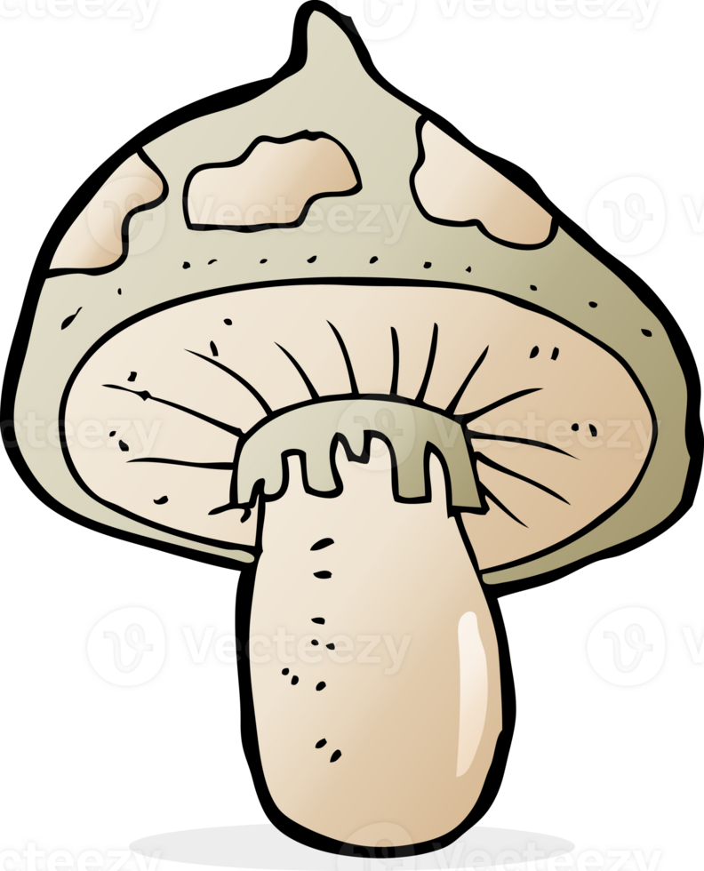 cartoon toadstool drawing png