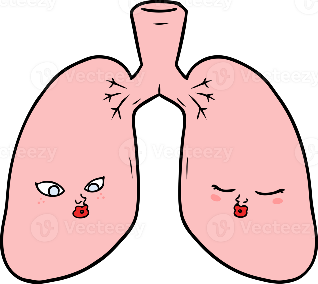cartoon lungs drawing png