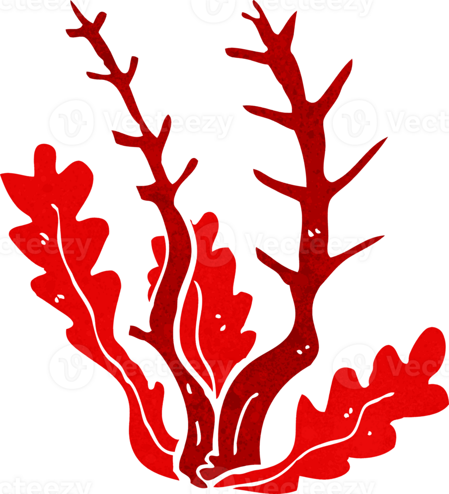 cartoon seaweed drawing png