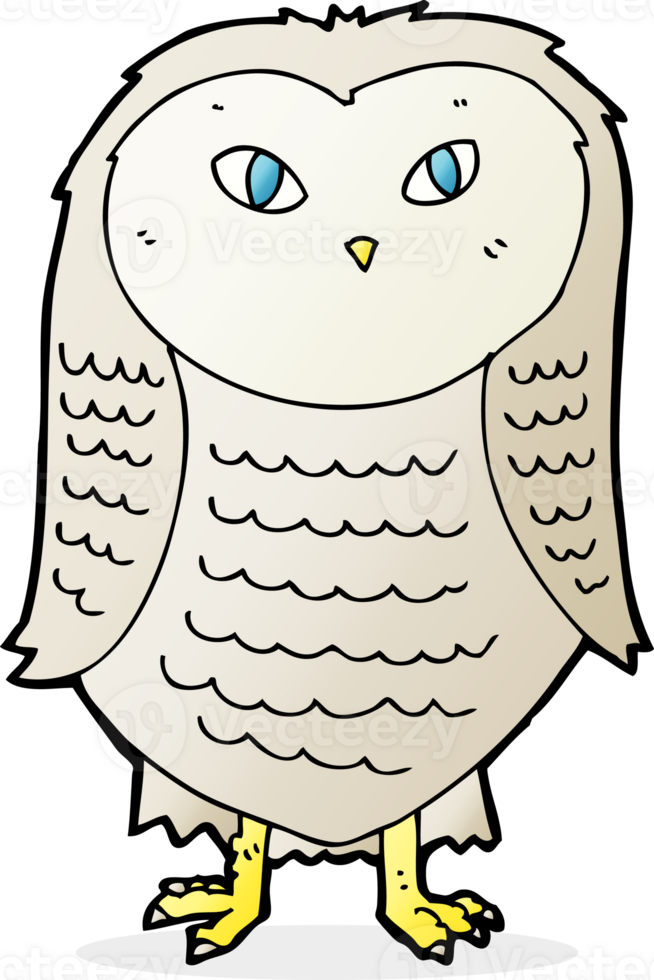 cartoon owl drawing png