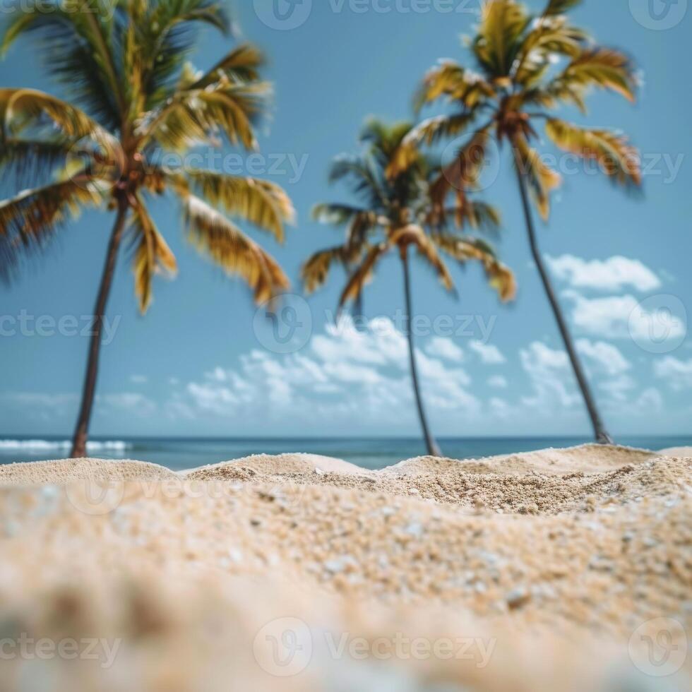 Palm Trees Framing a Tropical Beach Scene on a Sunny Summer Day photo