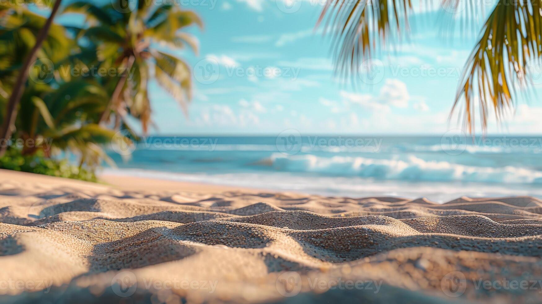 Soft Beach Sand With Palm Trees and Blue Sky photo