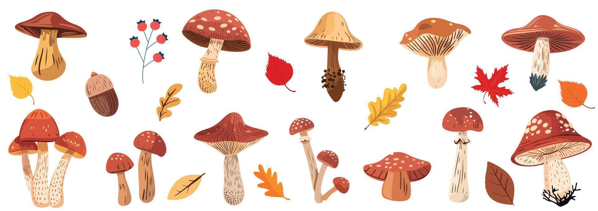 Forest mushroom, set of leaves, acorn, cone. Collection of hand drawn colorful mushrooms. Autumn natural season.Design for Collage or Poster, banner template. Autumn concept vector