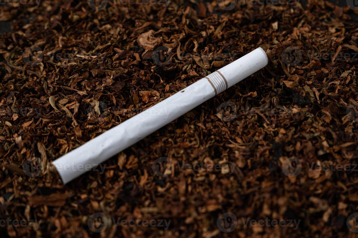 fine tobacco with a cigarette on top photo