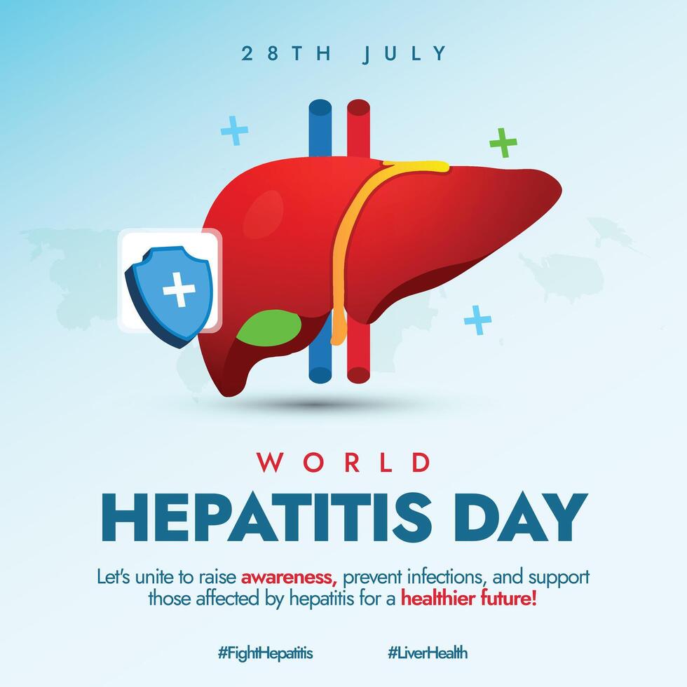 World Hepatitis day. 28th July World Hepatitis day celebration banner with liver, protection shield illustration. The theme for 2024 is Hepatitis Can't Wait. Early diagnosis can protect liver vector