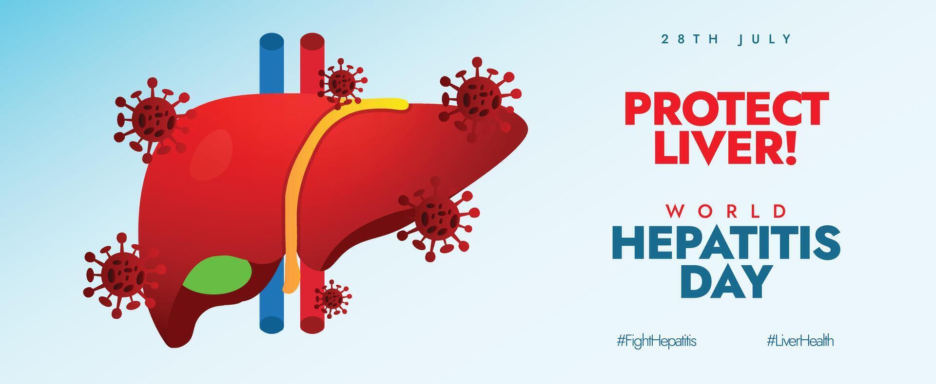 World Hepatitis day 28th July awareness banner. Hepatitis day banner, social media post with liver infected by virus. Liver protection awareness campaign to get tested as early diagnosis can save live vector