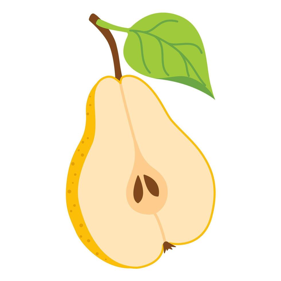Sliced juicy yellow pear cartoon illustration. Modern flat style half pear, fruits, healthy eating. Isolated on transparent background illustration vector
