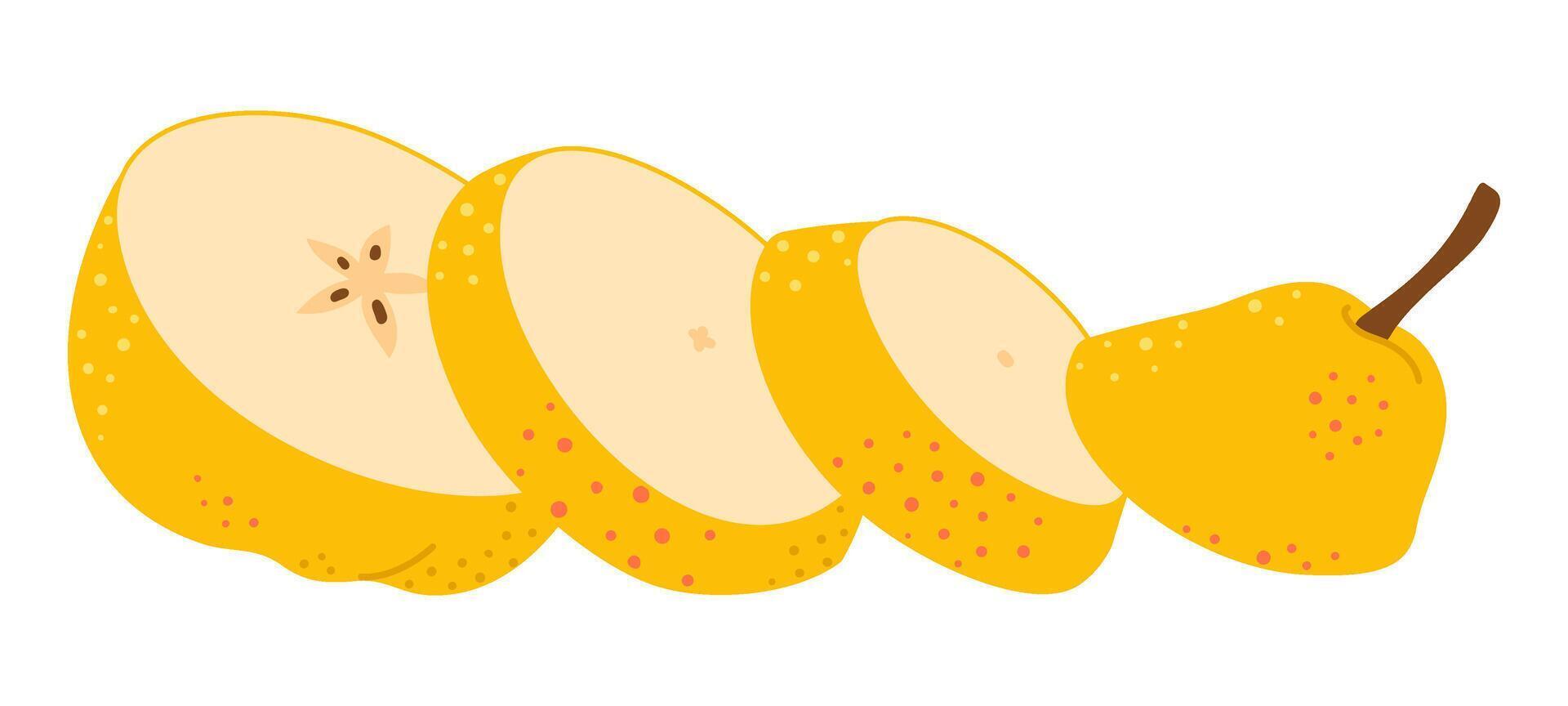 Cut yellow pear cartoon icon. Cross section of cut fresh, juicy yellow pear, slices fruit, Hand drawn trendy flat style isolated on transparent background Healthy vegetarian snack illustration vector