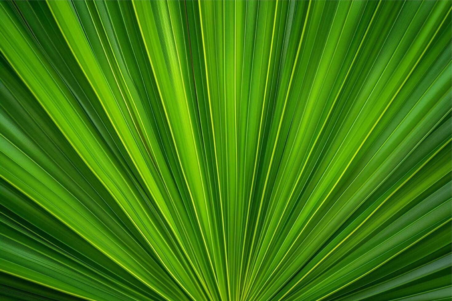 Green palm leaf pattern texture abstract background photo