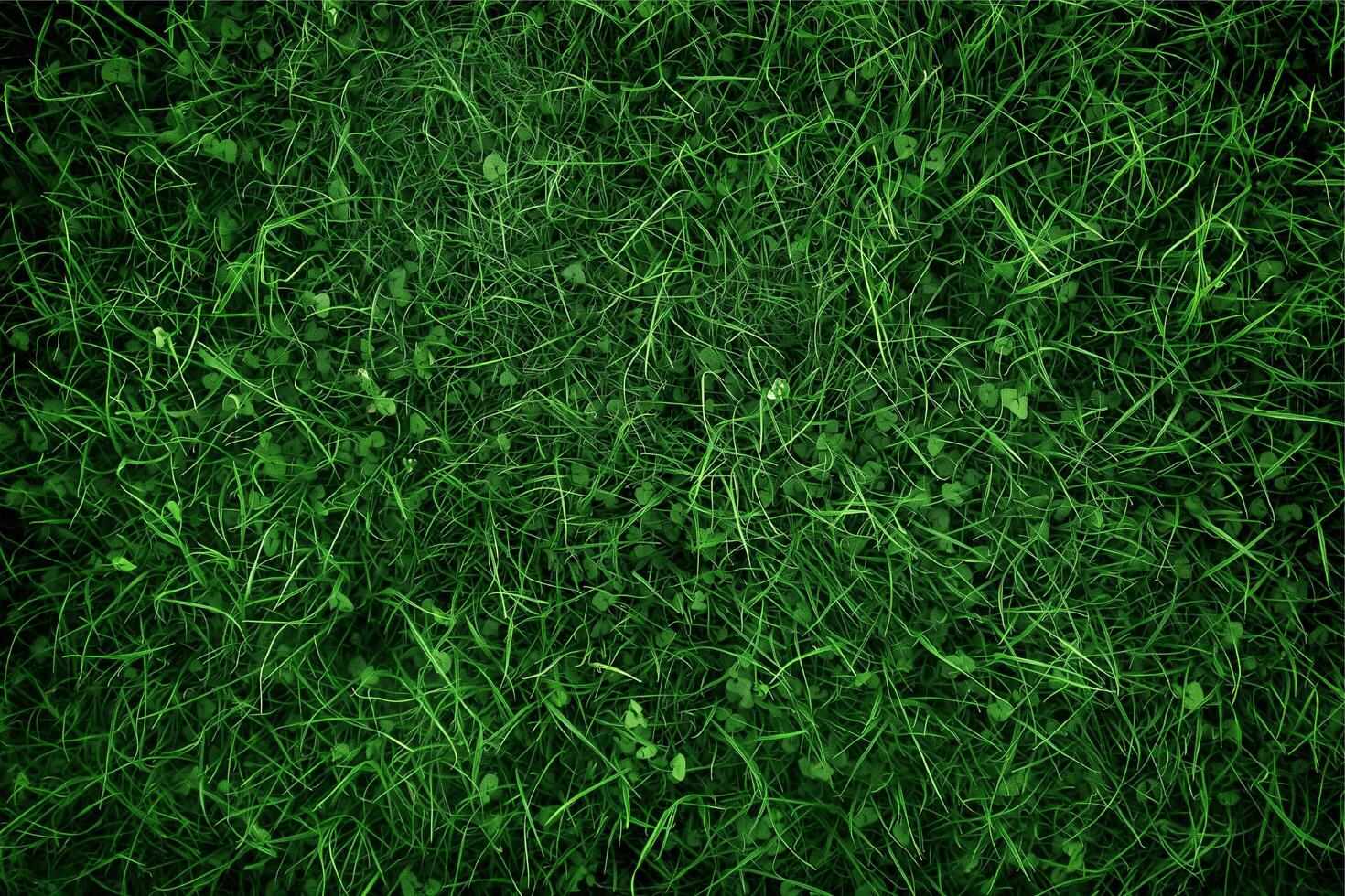 green grass background photo