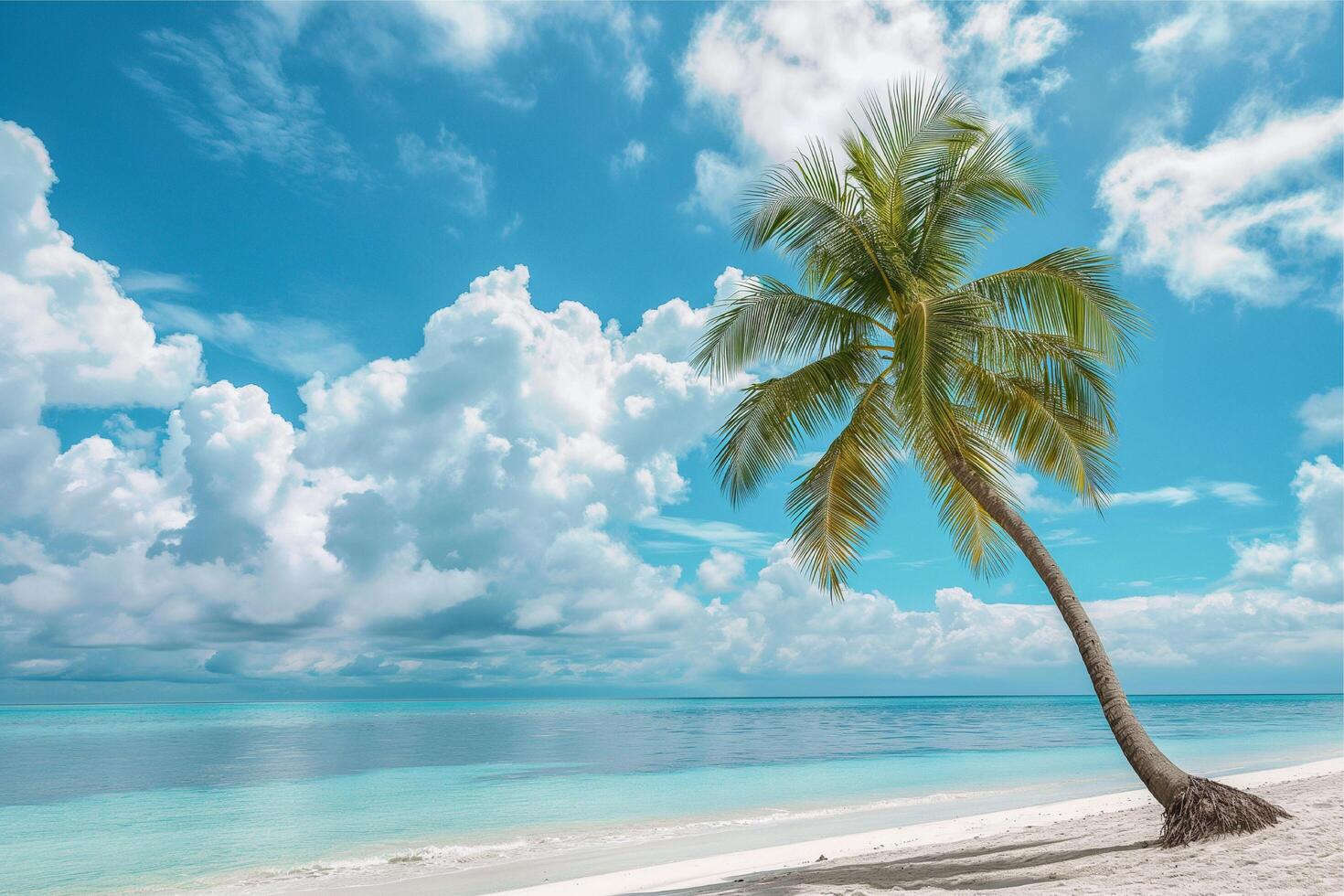 Palm tree on tropical beach with blue sky and white clouds photo