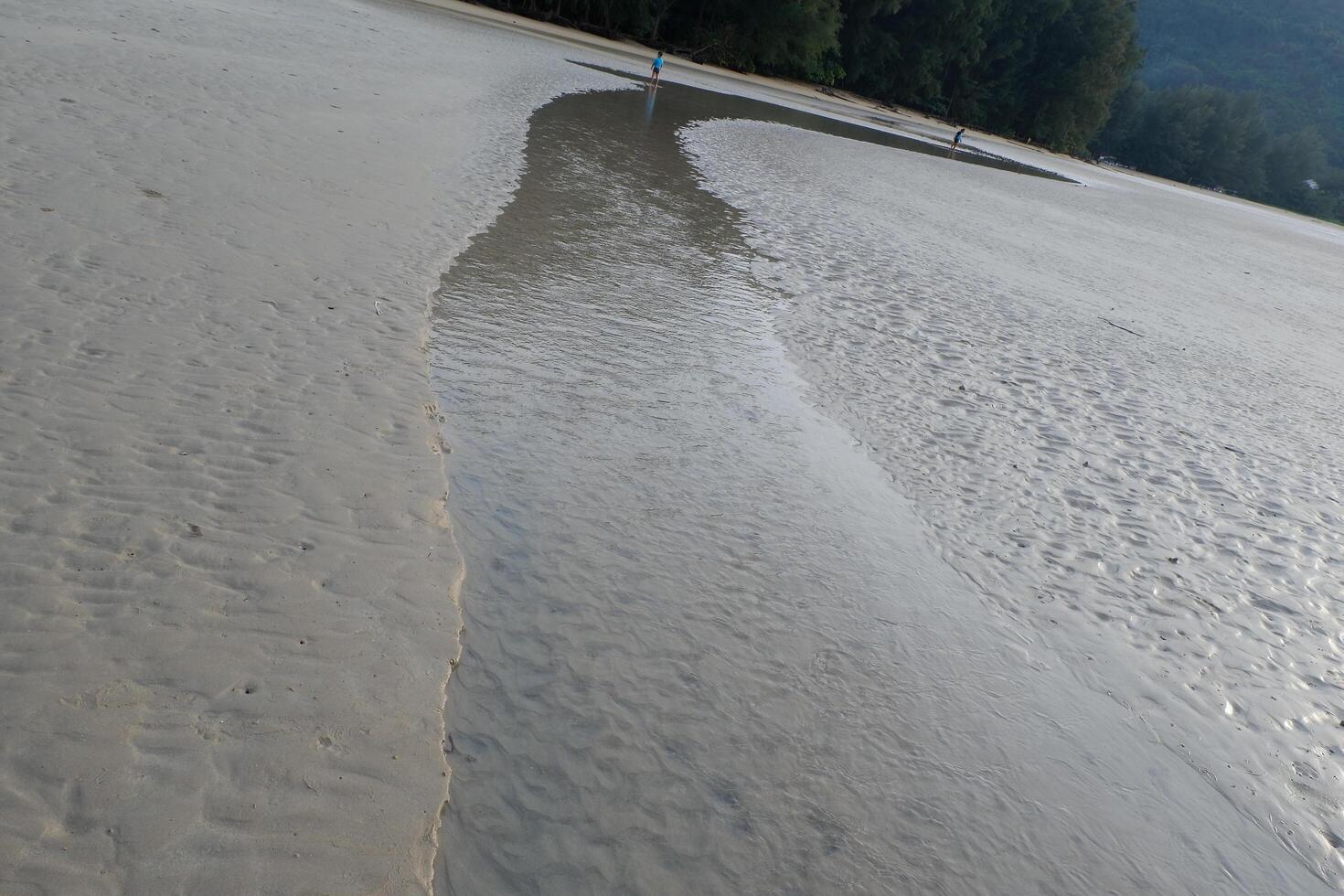 a person is walking on a beach with a surfboard photo