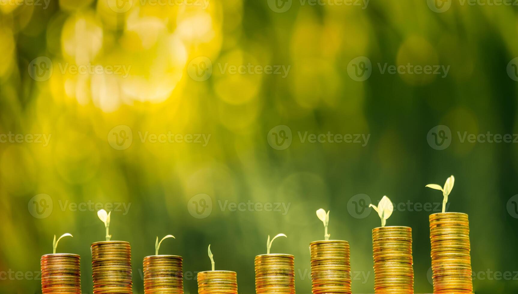 Business Finance and Money concept,Save money for prepare in the future.tree growing on coin of stacking gold coins with green bokeh background photo