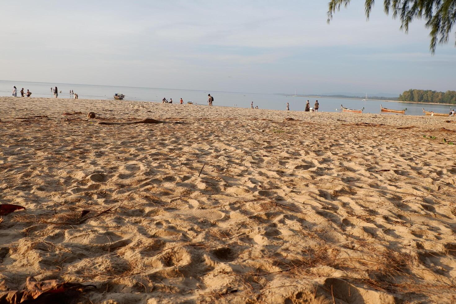 a beach with people on it and a kite flying photo