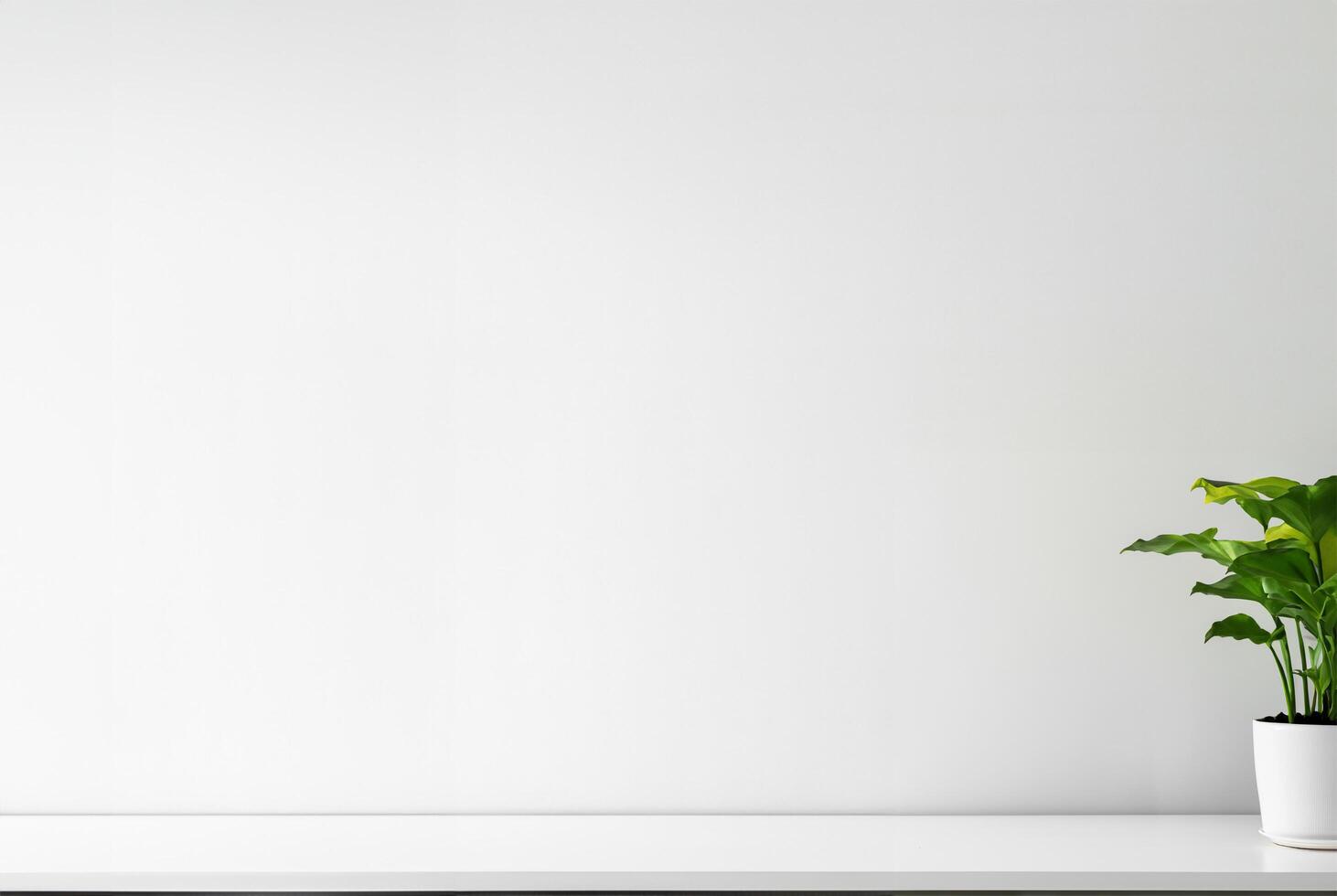 White table with potted plants and white wall photo