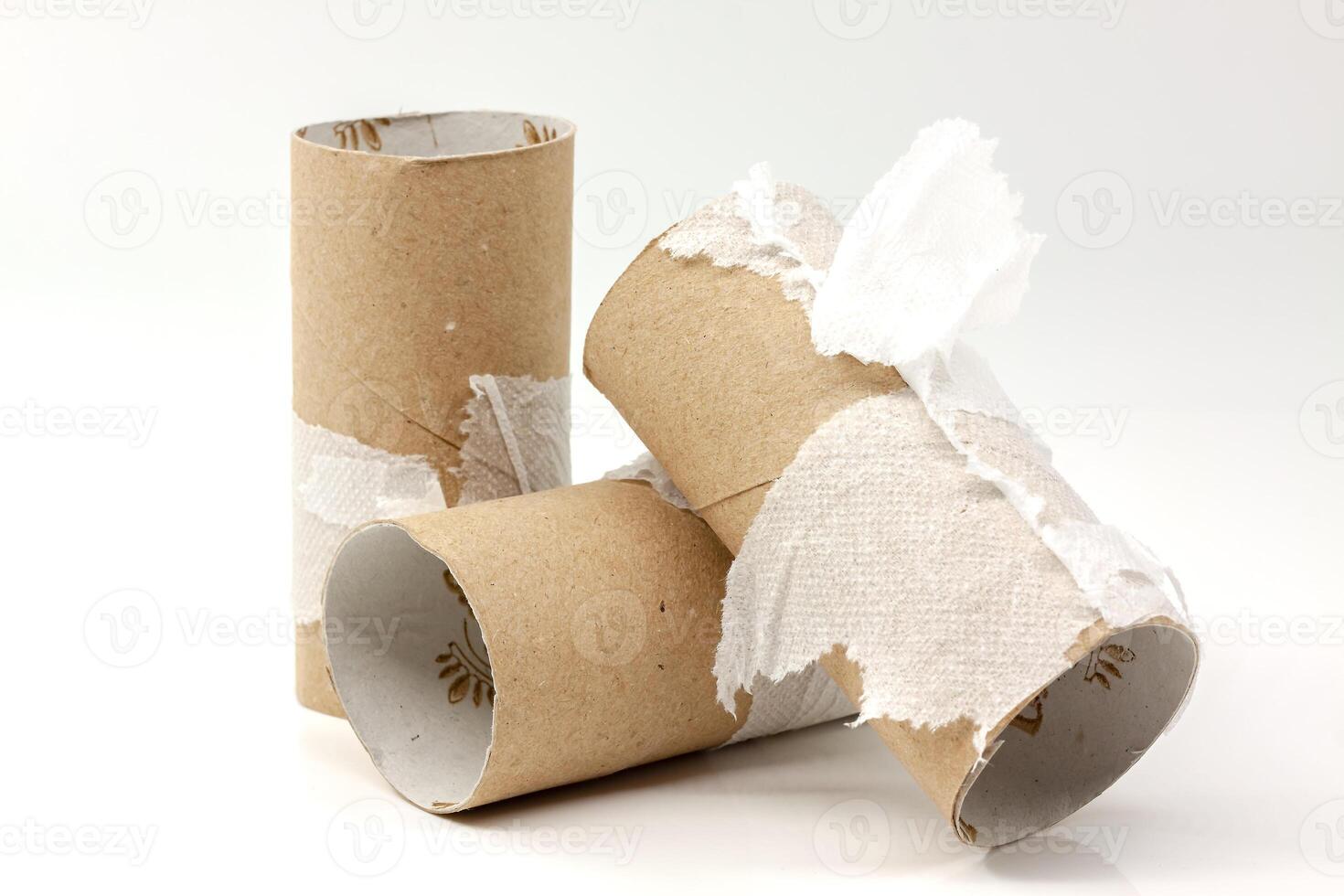 A roll of toilet paper photo