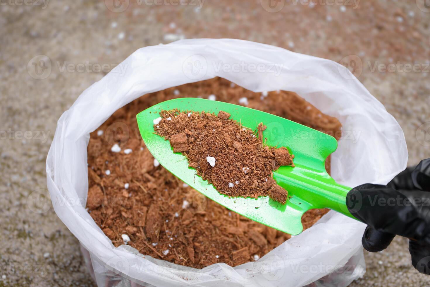 Hand holding a shovel with soil fertilizer peat moss or coco peat in a bag for preparing for planting or mixing fertilizer. Top view of hand holding fertilizer soil. photo