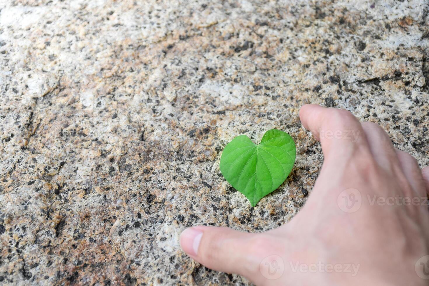 The hand that is reaching out to hold heart leaf concept of environment and sustainability on beautiful blurry background with soft sunlight,medical concept for heart disease treatment,preserve nature photo