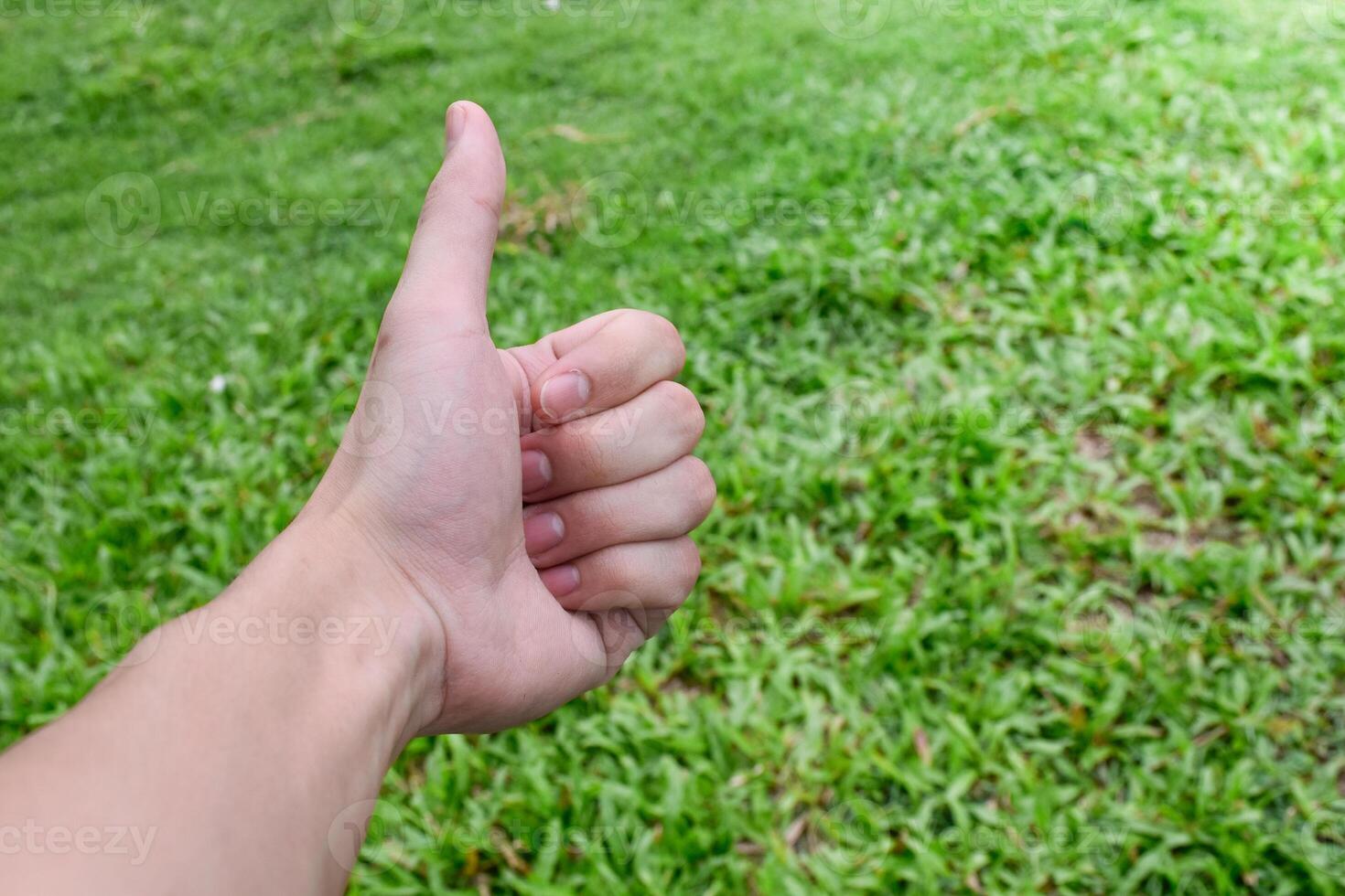 Like hand on grass background,hand is popular photo, various hands, hand symbols, soft sun background, body language,body, organ,human hands, close up,top view,touch nature. photo
