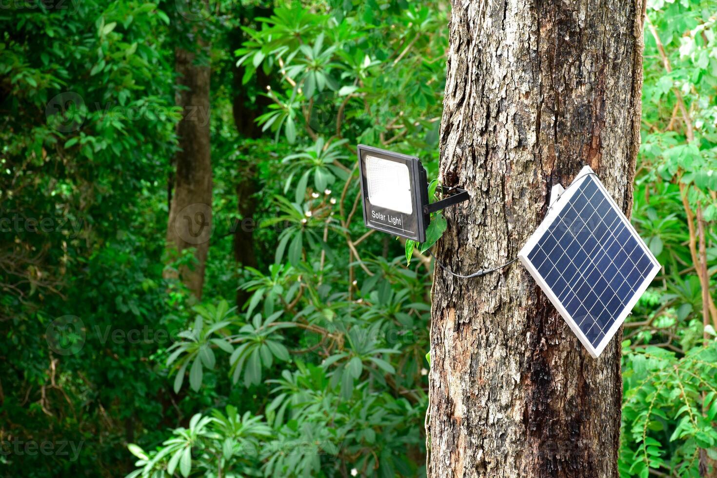 Solar panels and light bulbs on tree in forest and natural background,Solar energy, electricity from solar cells on background of natural and sunlight,Concept sustainable and environment. photo