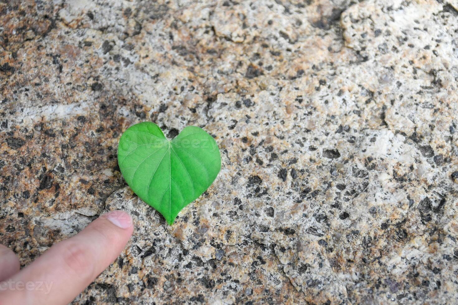 Finger pointing at the heart leaf concept of environment and sustainability on beautiful blurry background with soft sunlight,medical concept for heart disease treatment,preserve nature. photo