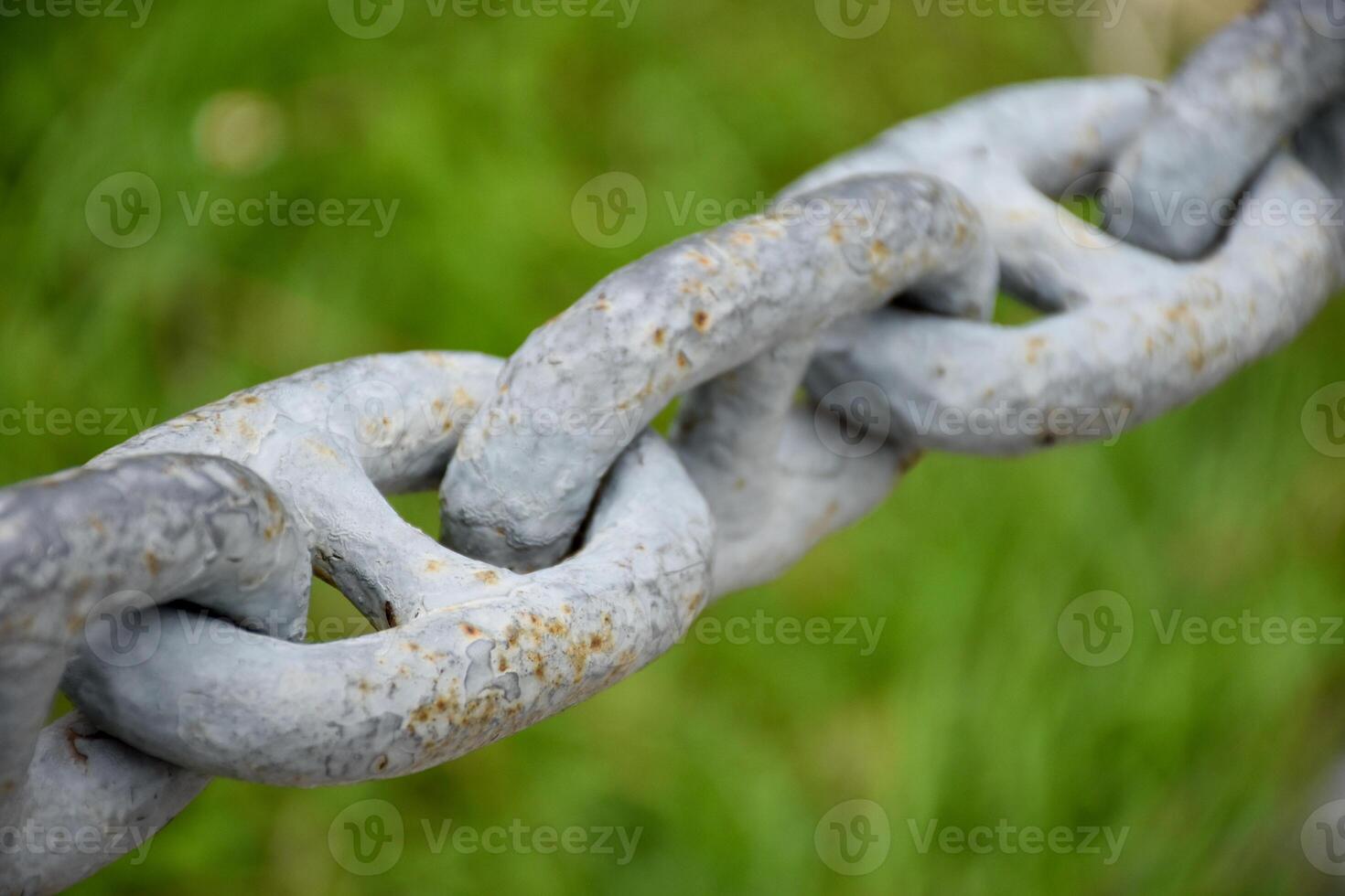 Close up rusted gray iron chain or steel rings connected together on grass green background. photo