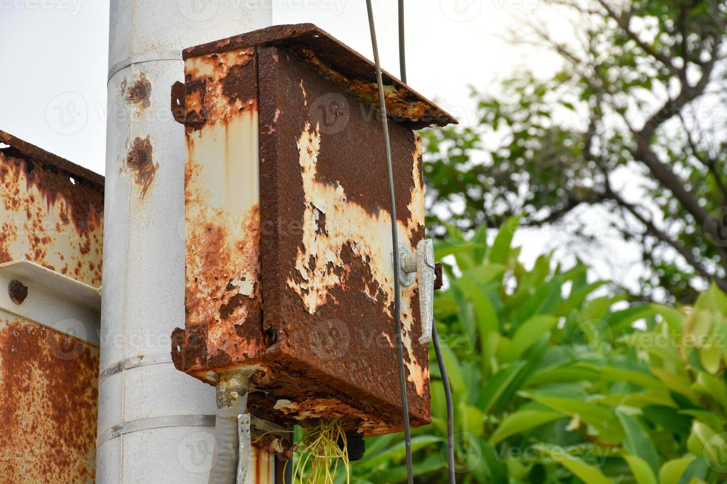 Broken and rusted electrical control box or electric Switchboard on electrical pole at outdoor park with forest and sky background. photo