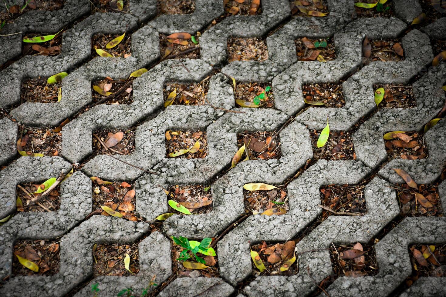 Close-up of paving bricks or paving stones with a modern square shape and a mix of grass and leaves used for site and walkway design. photo