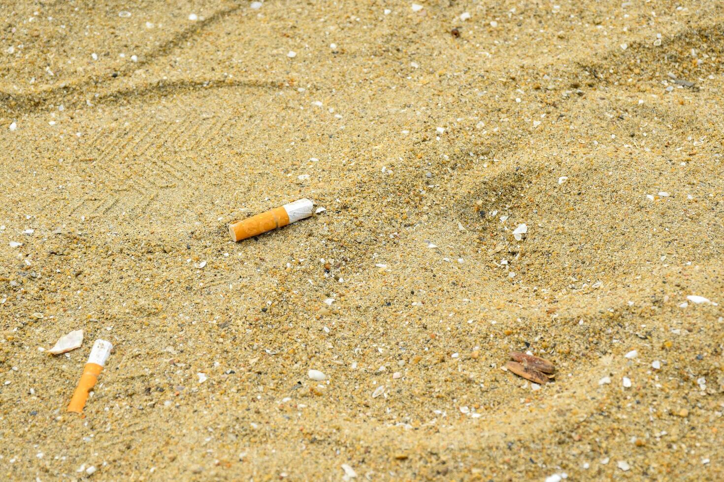 Close-up cigarette butts lie on the sand and shell fragments at the seaside causing a negative effect on the marine environment. photo