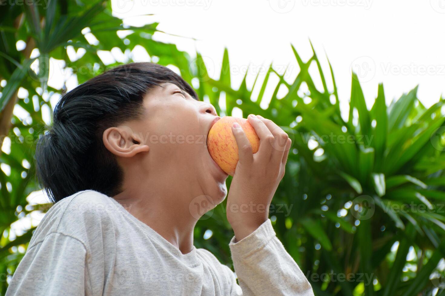 Young man is eating an apple by stuffing apples into his mouth in a greedy way for the concept of food stuck in the throat against a green forest blurred background. photo