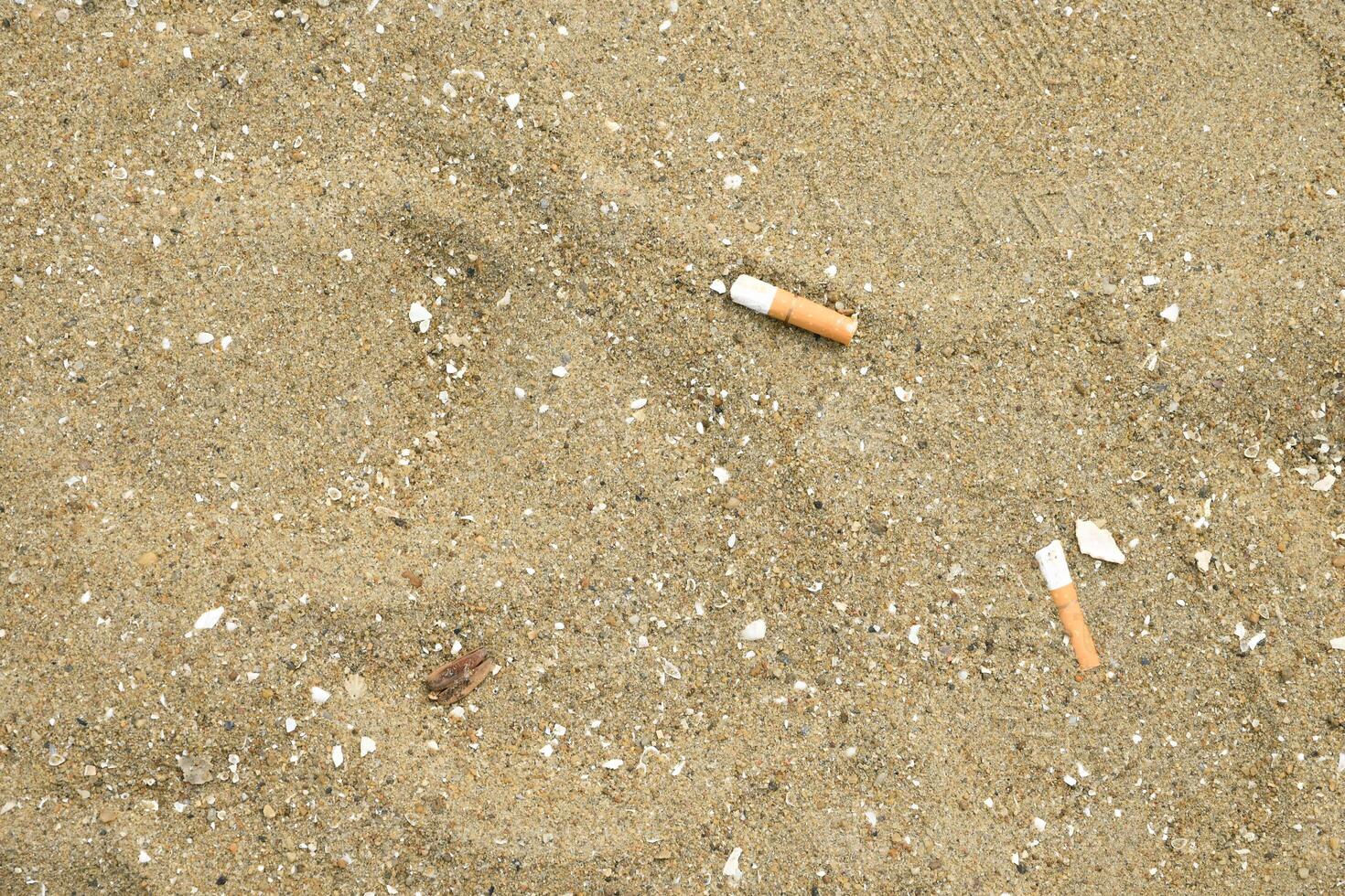 Cigarette butts left on the sand at the beach have a negative effect on the marine environment in a vintage tone background. photo