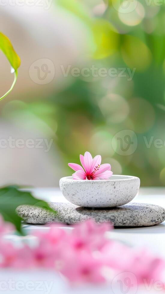 Spa Treatment with Flower in White Bowl on Grey Stones and Blurred Green Background. photo