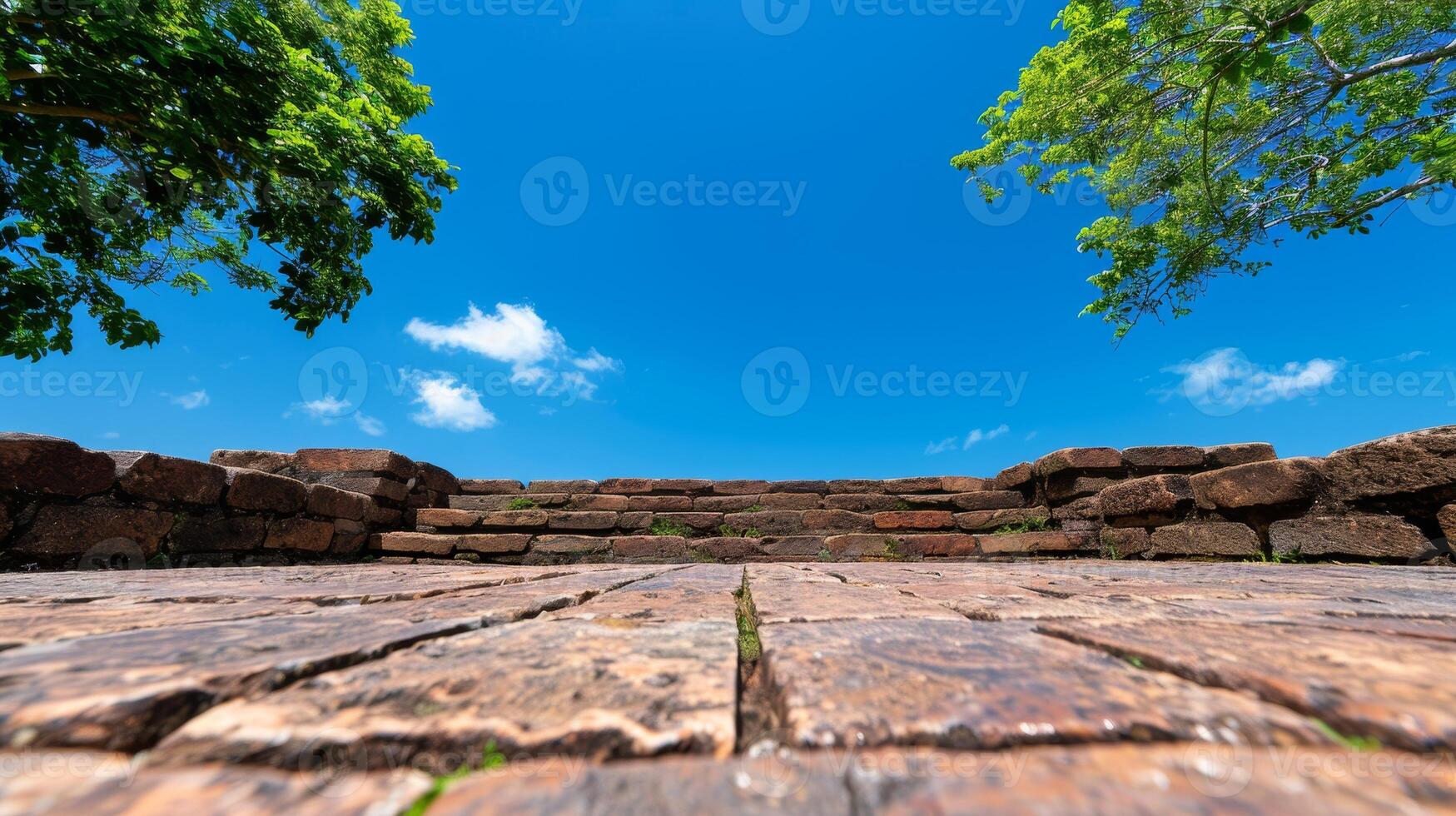 Stone Steps Leading Up To Blue Sky With Tree Branches Framing The View. photo