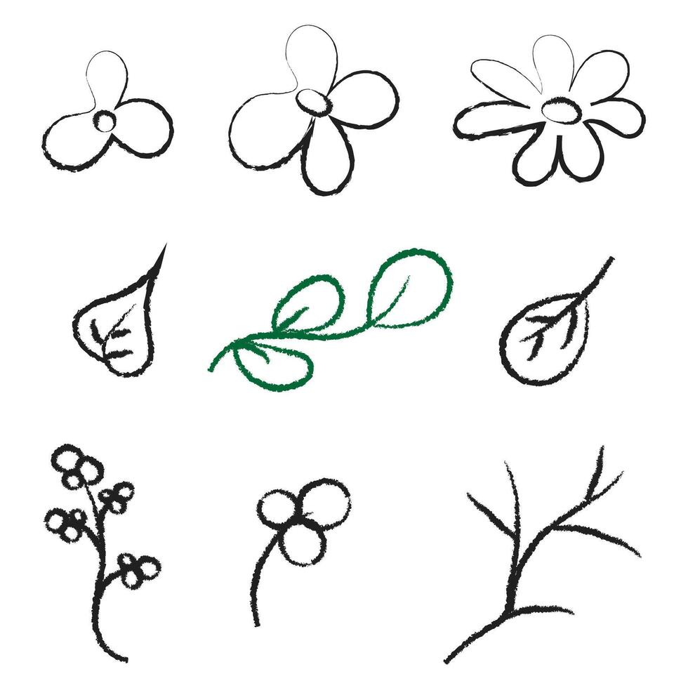 flowers, leaves, twigs Doodles with the texture of a charcoal pencil vector